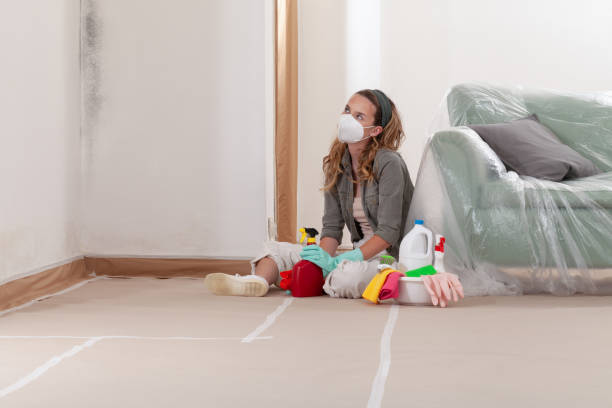 Reliable Mold Remediation contractor in Edenton, NC by Mold Remediation HQ